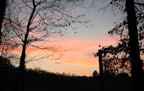 March Sky - North Carolina